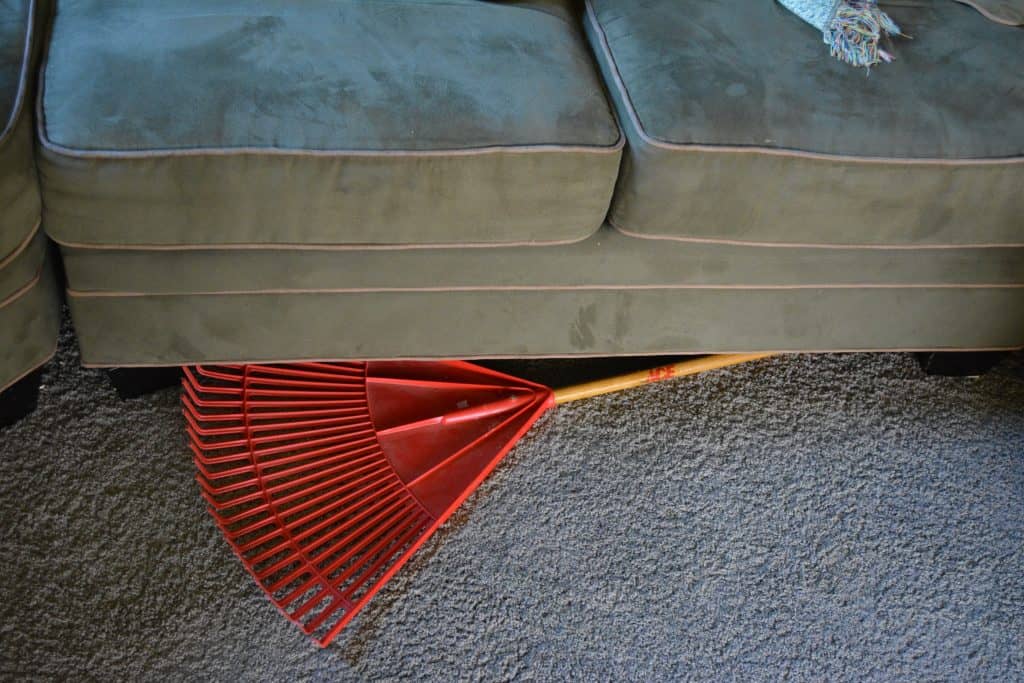 rug rake for toys