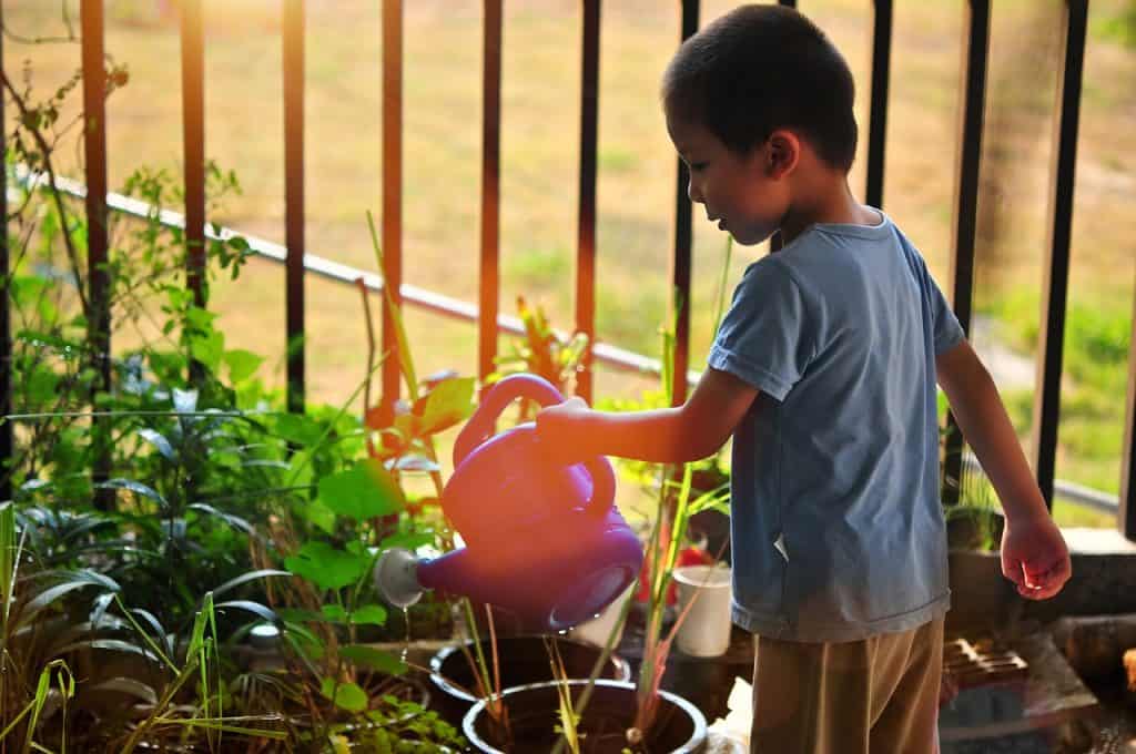 Child planting a garden