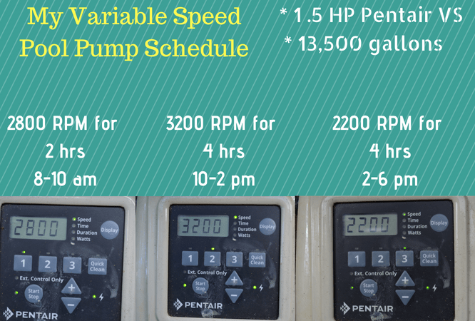 variable speed pool pump schedule