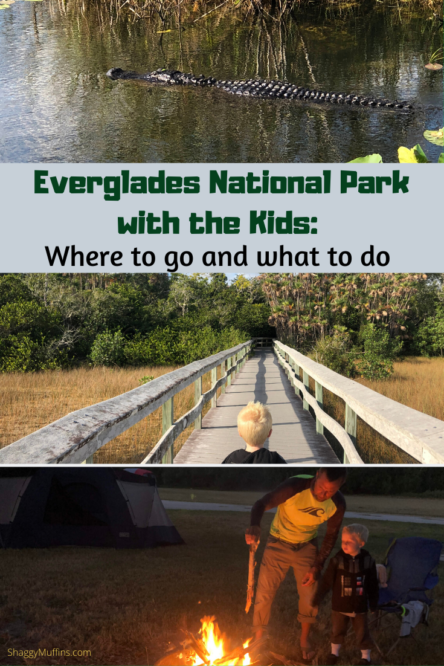 visting the everglades national park with kids 3