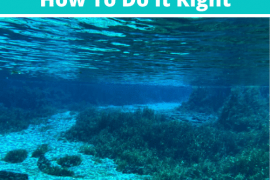 Rainbow Springs Tubing_ How To Do It Right